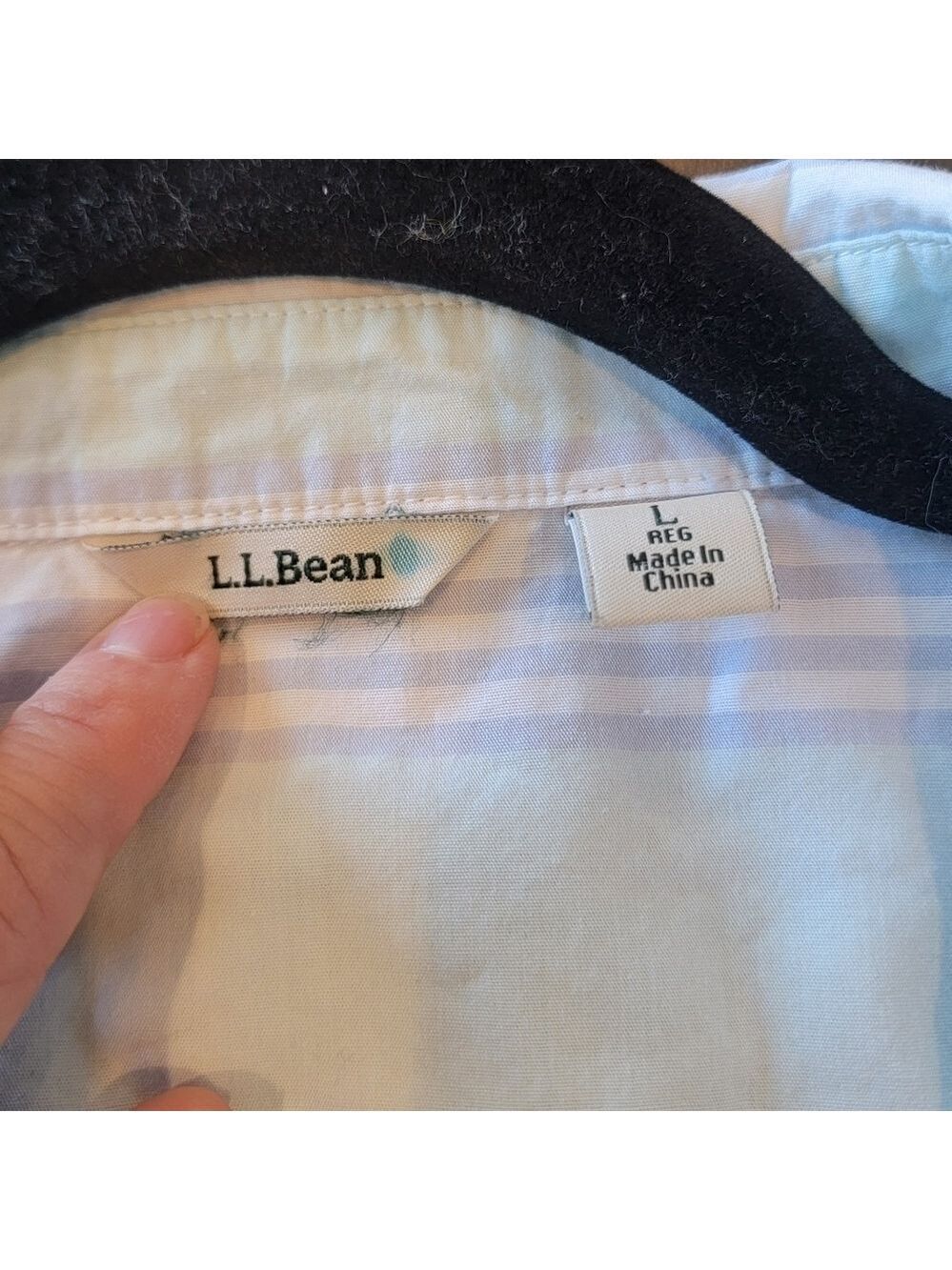L.L. Bean Cotton Mint Green Light Blue Striped Button Down Shirt Size Large - Picture 11 of 11